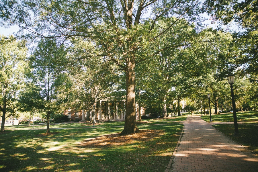 beautiful tree shaded campus of UNC at Chapel Hill